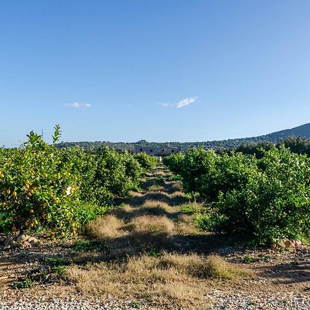 El Limonar De Mallorca - Agroturismo Balearene Eksteriør bilde